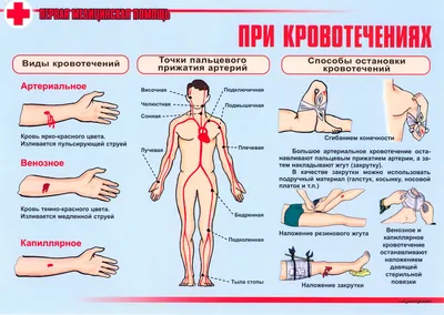 Всемирный день оказания первой медицинской помощи