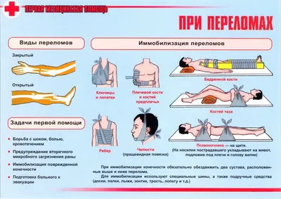 ОКАЗАНИЕ ПЕРВОЙ МЕДИЦИНСКОЙ ПОМОЩИ УТОПАЮЩЕМУ | Официальный сайт  Администрации Валдайского муниципального района