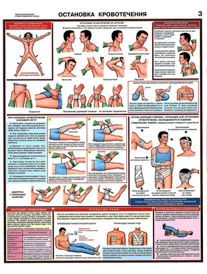 Правила оказания первой доврачебной медицинской помощи