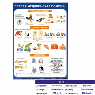 Плакат по Юнармии \"Оказание первой медицинской помощи\" / А-2 (42x60 см) -  купить с доставкой по выгодным ценам в интернет-магазине OZON (407211063)