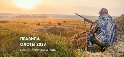 Правила охоты 2023 года в России: полный текст