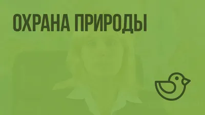 6 октября — Всемирный день охраны мест обитания - Новости - МКУ  «Приазовская поселенческая библиотека» - Муниципальные учреждения -  Структура - Органы местного самоуправления и учреждения - Приазовское  сельское поселение Приморско-Ахтарского района ...