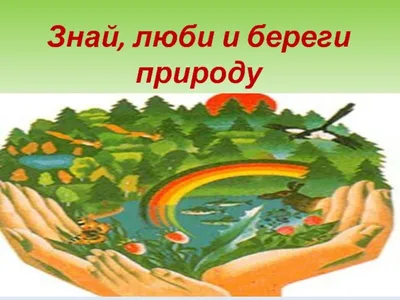 Купить Плакаты СССР об экологии, природе, лесном фонде, охоте,  браконьерстве, лесхозе, лесном хозяйстве, лесниках, лестничестве