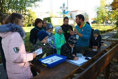 Урок географии \"Охрана природы и охраняемые территории\"