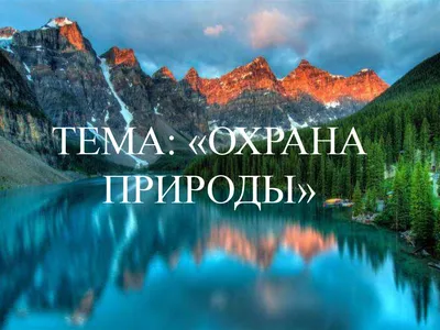 Охрана природы — наша общая забота. | Могилевское областное управление  департамента охраны МВД Республики Беларусь