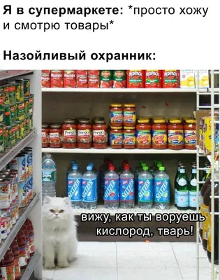 В Улан-Удэ притворившийся женщиной охранник стащил деньги из сейфа (ВИДЕО)  | 10.03.2023 | Новости Улан-Удэ - БезФормата