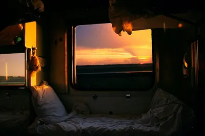 Природа в движении из окна поезда. Окно поезда. Путешествие Стоковое  Изображение - изображение насчитывающей зеленый, аграрным: 182598607
