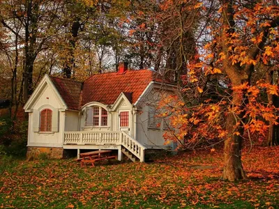 Окраска деревянного дома внутри: советы по окраске