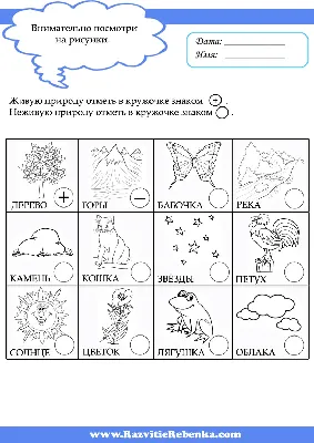 Скачиваем задания для Вашего ребенка по изучению окружающего мира. Задания  по предмету \"Окружающий мир\". … | Дошкольное обучение, Домашнее обучение,  Обучение чтению