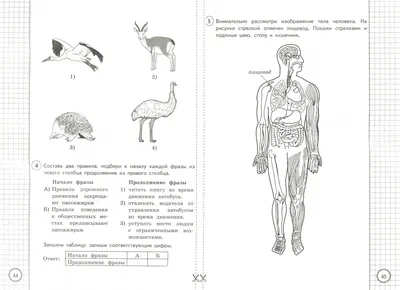 Иллюстрация 1 из 11 для ВПР. Окружающий мир. 4 класс. Типовые задания. 25  вариантов. ФГОС - Волкова,