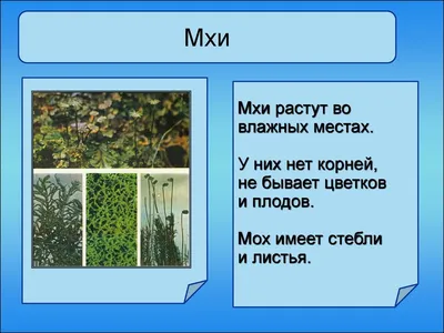 Окружающий мир. 4 класс. Рабочая тетрадь\". А. Плешаков, Крючкова Часть 1.  Школа России .ФГОС — купить в Красноярске. Состояние: Новое. Для школы на  интернет-аукционе Au.ru