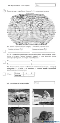 Сортер \"Окружающий мир\" 001440 новинка