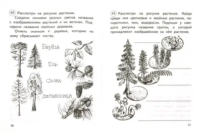 Тематические тесты «Окружающий мир» для 1 класса купить онлайн | Вако