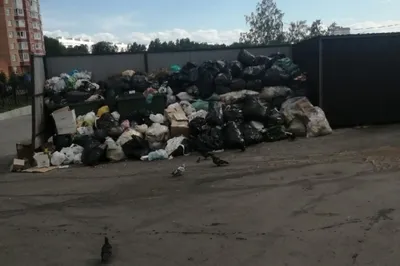 Фото: Коперник, жилой комплекс, 23/1, Октябрьский район, микрорайон  Закаменский, Новосибирск — Яндекс Карты