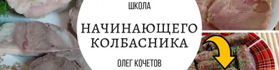 Школа начинающего «колбасника». Учебный курс, Олег Кочетов – скачать книгу  fb2, epub, pdf на Литрес