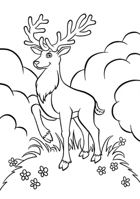 Как нарисовать оленя на Новый год поэтапно 6 уроков