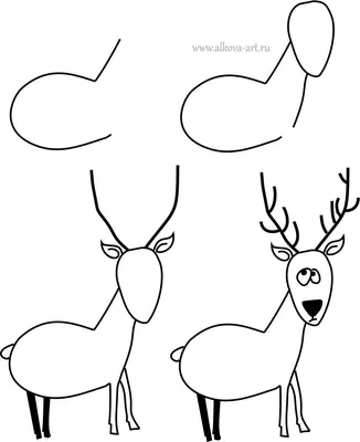 Картинка олень с небольшими рогами ❤ для срисовки