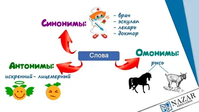 Межъязыковые омонимы и паронимы в болгарском и русском языках | PDF