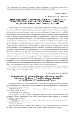 Онтогенез: понятие, типы и основные атрибуты реферат 2010 по биологии |  Сочинения Биология | Docsity