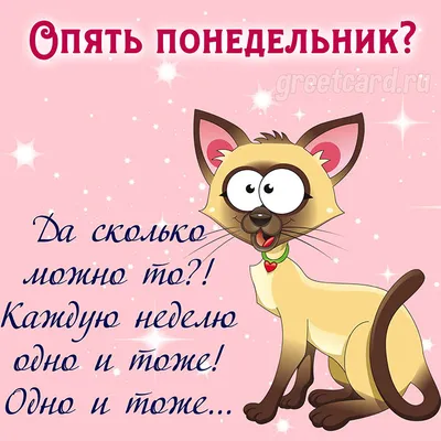 Опять понедельник? Да сколько можно-то? Каждую неделю одно и тоже! Одно и  тоже.... Отличной недели друзья 🤗 Наша ч/б #фотопрактика… | Instagram