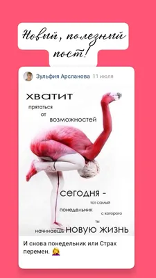 Иллюстрация 11 из 17 для Office-book; опять понедельник. Снимаем стресс -  Диана Коваленко | Лабиринт - книги.