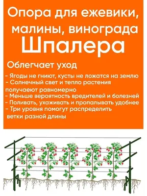 Красивые и простые шпалеры своими руками: 5 подробных схем | Дизайн участка  (Огород.ru)