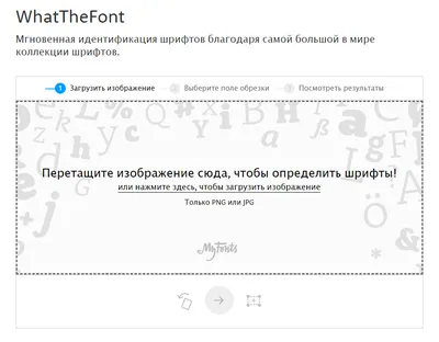 https://skillbox.ru/media/design/what-the-font/