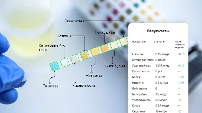 Как определить шрифт по картинке: способы узнать бесплатно и онлайн