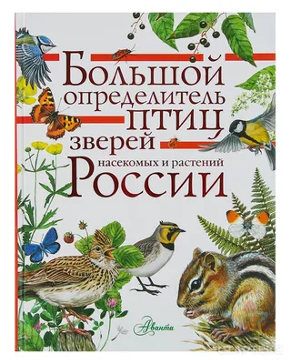 Книга Грибы. Атлас-определитель - купить дома и досуга в  интернет-магазинах, цены на Мегамаркет |