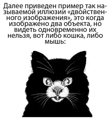 Волшебные картинки — оптические иллюзии. Мини-игра :): Персональные записи  в журнале Ярмарки Мастеров