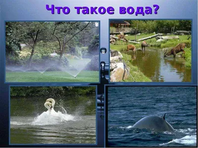 Волшебница вода - 12 Апреля 2020 - МАДОУ ДС № 62 г. Челябинска
