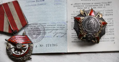 Орден Александра Невского № 20588 - «VIOLITY»