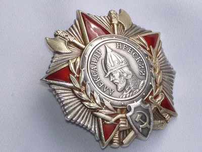 Орден Александра Невского, Тип 2 | Недетский мир