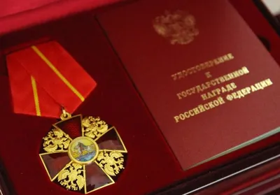 Орден Александра Невского, Тип 2 | Недетский мир