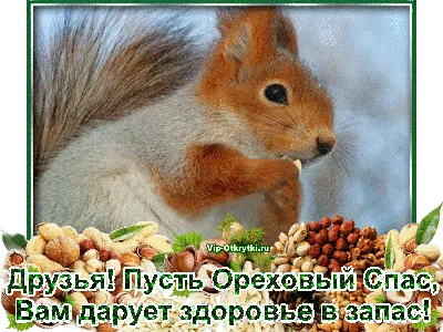 Ореховый Спас 2022 – лучшие открытки и картинки с поздравлениями – видео