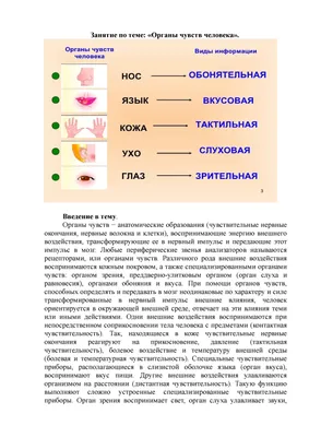 Задание \"Предметы и органы чувств\" - распечатать бесплатно