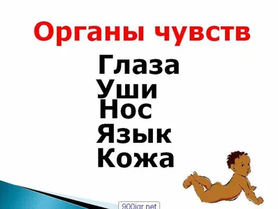 Игра \"Наши помощники\". Как нам помогают 5 органов чувст — Светлана  Георгиевна на TenChat.ru