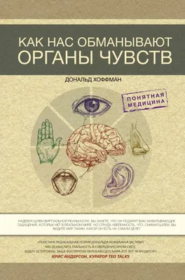 Плакат Тело человека. Это я! Лицо. Тело. Органы чувств. Нога. Рука. Глаз.  Рот. Детский сад купить по цене 190 ₽ в интернет-магазине KazanExpress