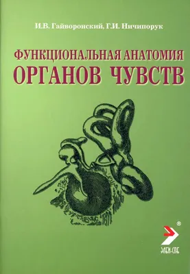 Что? Почему? Зачем? Наши органы чувств (Барсотти Э.) Издательство Омега -  купить книгу с доставкой в интернет-магазине издательства «Омега» ISBN:  978-5-465-04128-7