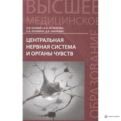 Органы чувств гистология рисунки - 92 фото