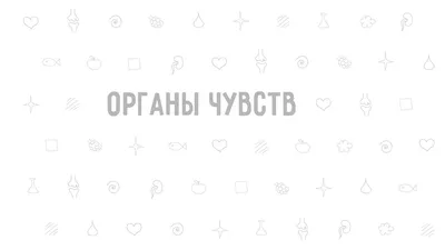 Развивающий набор «Органы чувств» | AliExpress