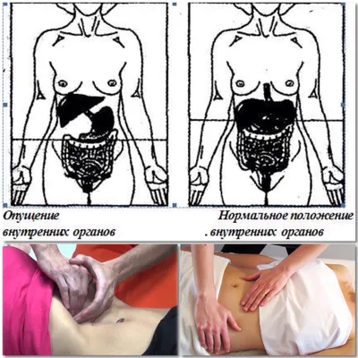 УЗИ органов брюшной полости (печень, желчный пузырь, поджелудочная железа,  селезнка)