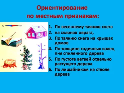 Выживание. Часть 2 /Ориентирование на местности/ Компас и карта | siberia |  Дзен