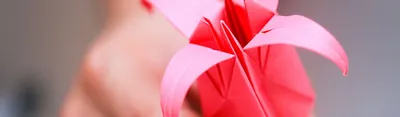 Самые популярные схемы для цветов в технике оригами