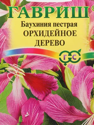 Сад радости: Бонсай: Орхидейное дерево | Купить настольную игру в магазинах  Hobby Games