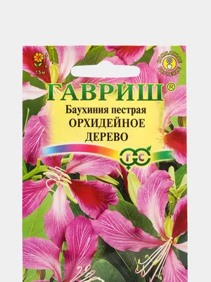 Семена Гавриш Орхидейное дерево баухиния, - отзывы покупателей на Мегамаркет