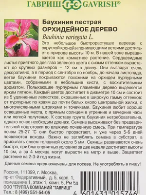 Набор для создания бонсай Вырасти,Дерево! Орхидейное дерево sr-008 -  выгодная цена, отзывы, характеристики, фото - купить в Москве и РФ