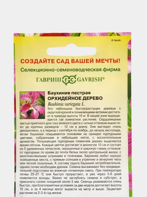 Семена Орхидейное дерево Калихавия, Семена, 5 шт. Цена от 399 руб. .  Отличная всхожесть, есть инструкция. Купить с доставкой и онлайн оплатой. -  интернет-магазин Лесландия