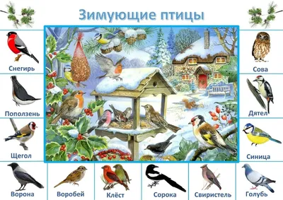Министерство природных ресурсов Курской области