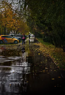 Осень, парк, аллея, дорога, листья, дождь. | Пейзажи, Природа, Фотографии